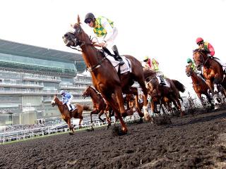 The Dubai World Cup means the flat season is here